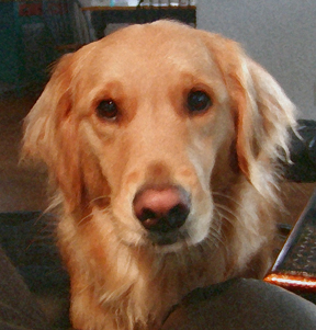 JPEG image